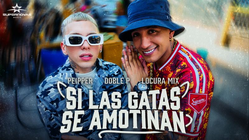 Portada de Si Las Gatas Se Amotinan